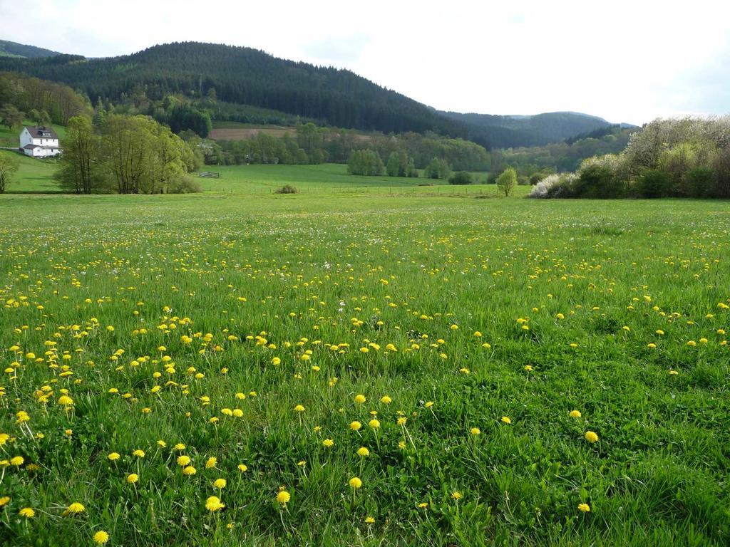 Landhaus Lenneper-Fuehrt Kirchhundem Bagian luar foto